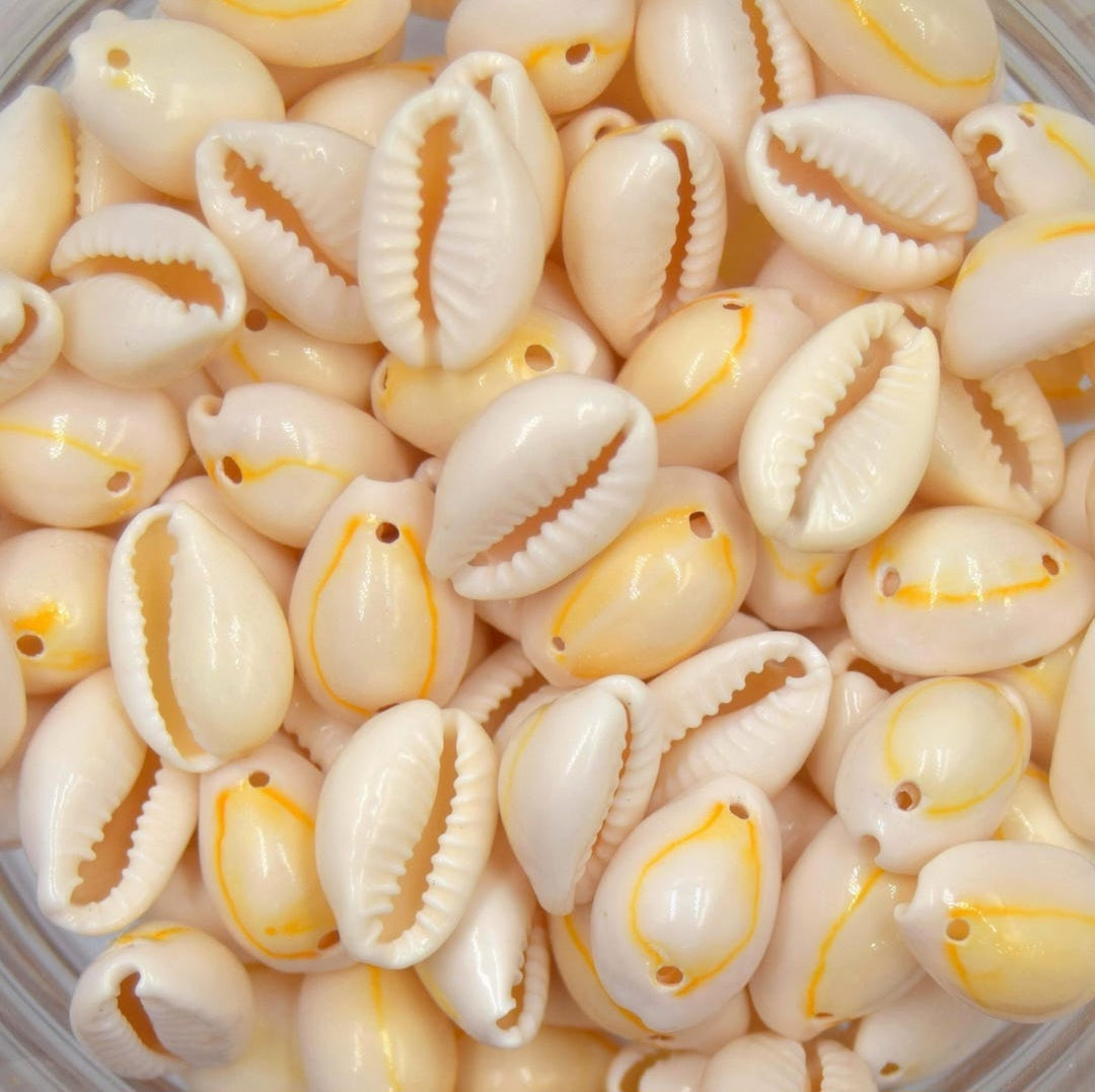 Nouvelle collection 2026 - Héritage Cauris